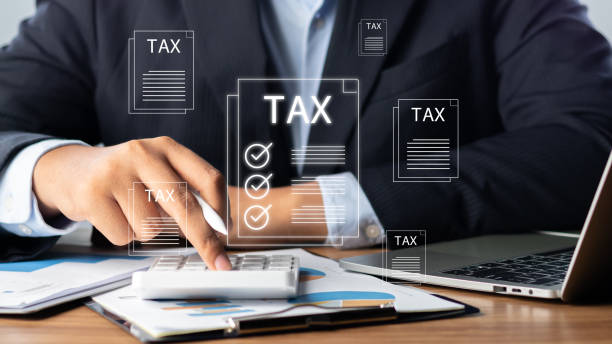 Электронная отчетность: инструкция по использованию личного кабинета налоговой
